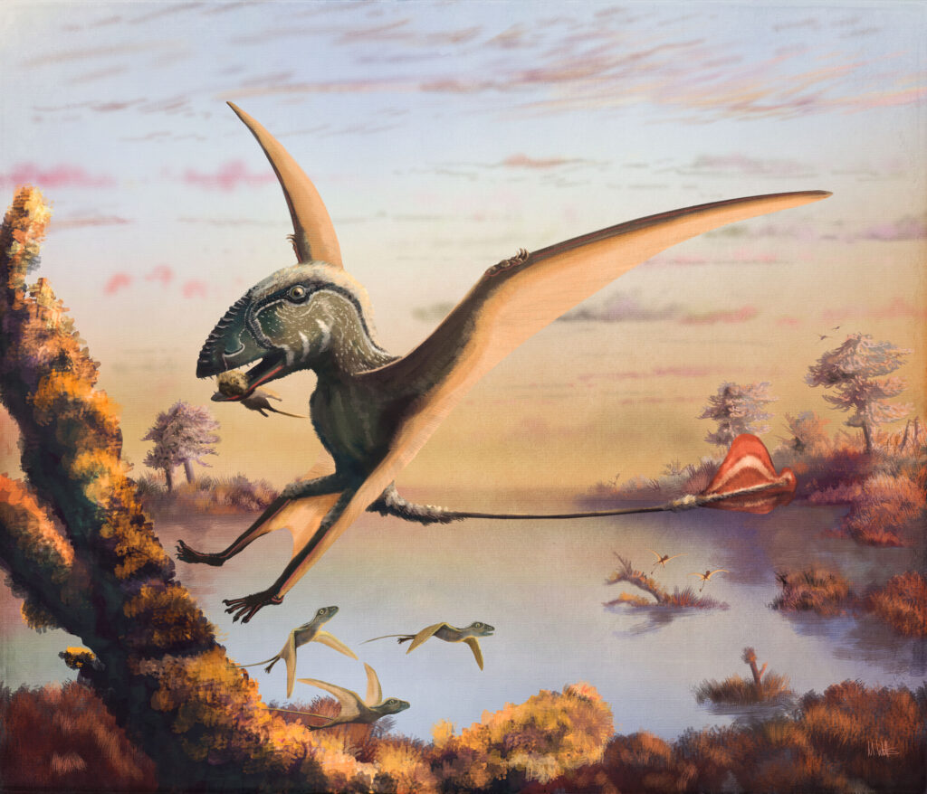 GSL Dimorphodon Witton 2017