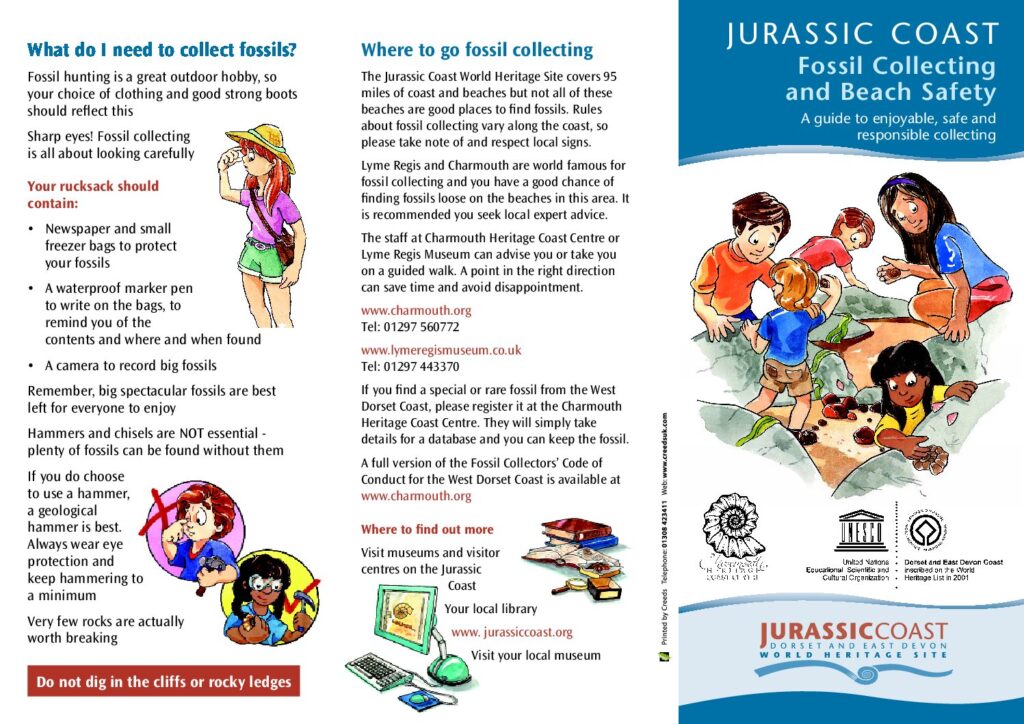 Fossil_Collecting_and_Beach_Safety