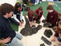 fossilfest2010-